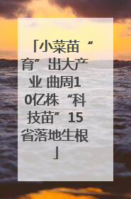 小菜苗“育”出大产业 曲周10亿株“科技苗”15省落地生根