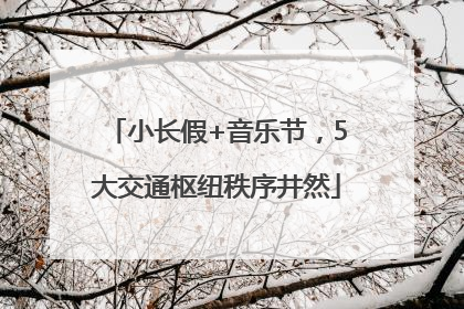 小长假+音乐节，5大交通枢纽秩序井然