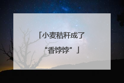 小麦秸秆成了“香饽饽”