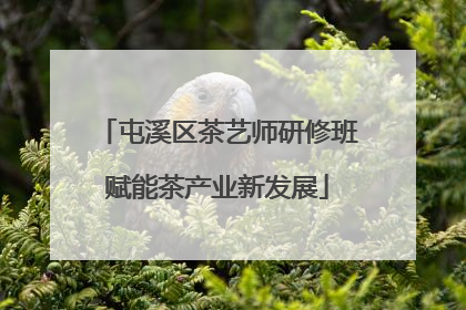 屯溪区茶艺师研修班赋能茶产业新发展