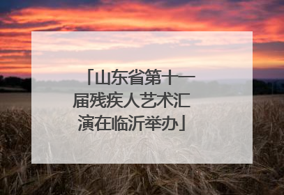 山东省第十一届残疾人艺术汇演在临沂举办