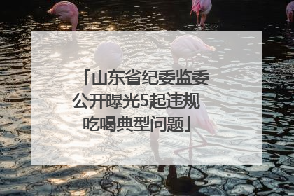 山东省纪委监委公开曝光5起违规吃喝典型问题