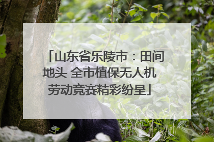 山东省乐陵市：田间地头 全市植保无人机劳动竞赛精彩纷呈