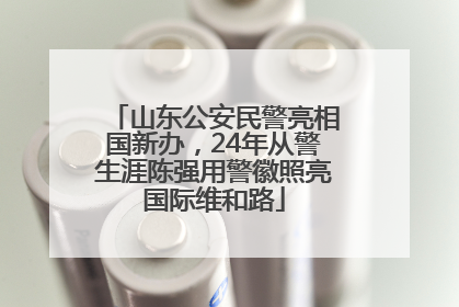 山东公安民警亮相国新办，24年从警生涯陈强用警徽照亮国际维和路