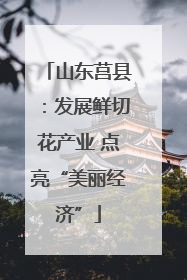 山东莒县：发展鲜切花产业 点亮“美丽经济”