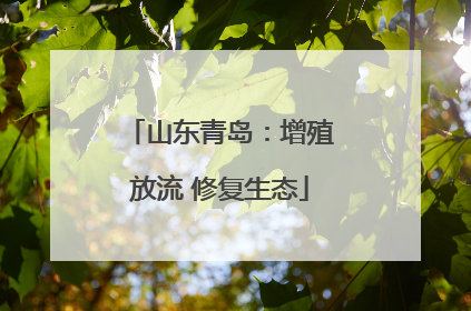 山东青岛：增殖放流 修复生态