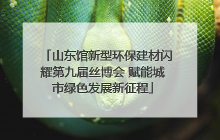 山东馆新型环保建材闪耀第九届丝博会 赋能城市绿色发展新征程