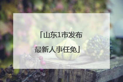 山东1市发布最新人事任免
