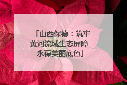 山西保德：筑牢黄河流域生态屏障 永葆美丽底色