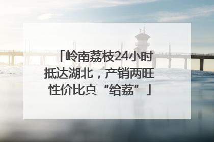 岭南荔枝24小时抵达湖北，产销两旺性价比真“给荔”