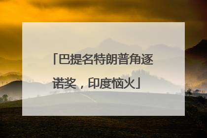 巴提名特朗普角逐诺奖，印度恼火