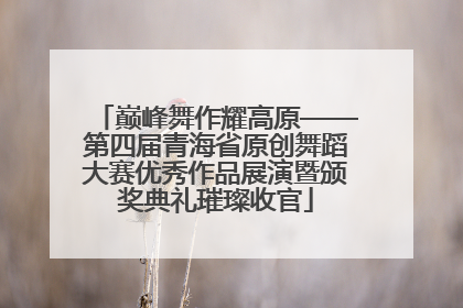 巅峰舞作耀高原——第四届青海省原创舞蹈大赛优秀作品展演暨颁奖典礼璀璨收官