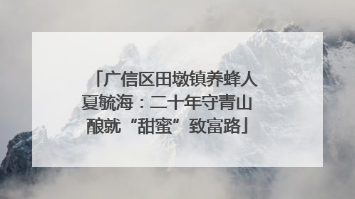 广信区田墩镇养蜂人夏毓海：二十年守青山酿就“甜蜜”致富路