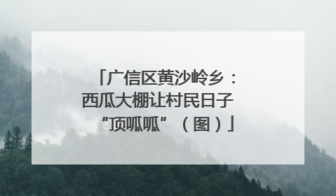 广信区黄沙岭乡：西瓜大棚让村民日子“顶呱呱”（图）