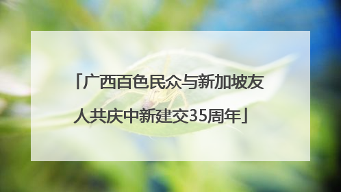 广西百色民众与新加坡友人共庆中新建交35周年