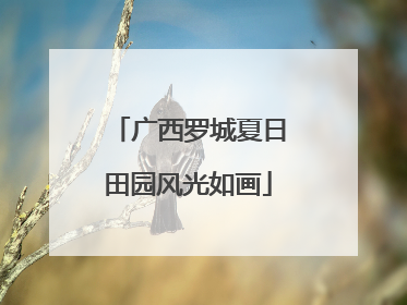 广西罗城夏日田园风光如画