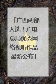 广西两部入选！广电总局优秀网络视听作品最新公布