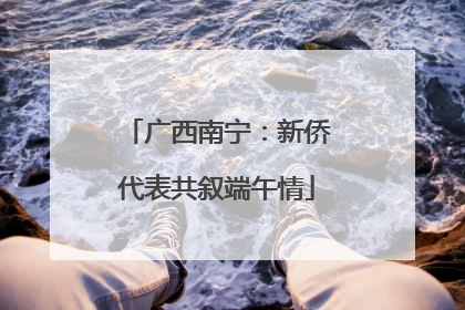 广西南宁：新侨代表共叙端午情
