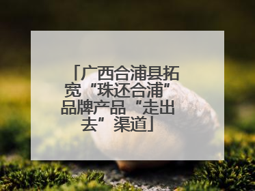 广西合浦县拓宽“珠还合浦”品牌产品“走出去”渠道