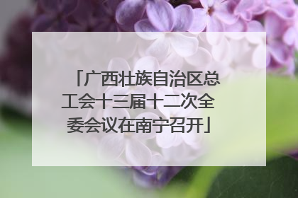广西壮族自治区总工会十三届十二次全委会议在南宁召开