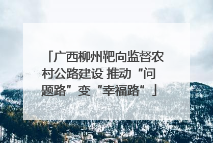 广西柳州靶向监督农村公路建设 推动“问题路”变“幸福路”
