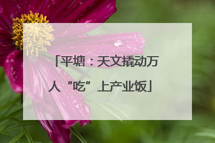 平塘：天文撬动万人“吃”上产业饭