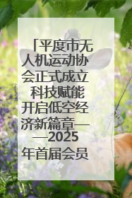 平度市无人机运动协会正式成立 科技赋能开启低空经济新篇章——2025年首届会员大会暨无人机应用发展论坛成功举办