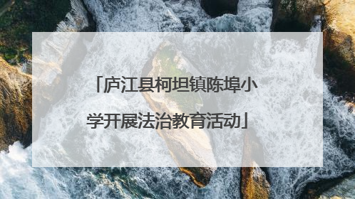 庐江县柯坦镇陈埠小学开展法治教育活动
