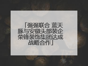 强强联合 蓝天豚与安徽头部装企荣锋装饰集团达成战略合作