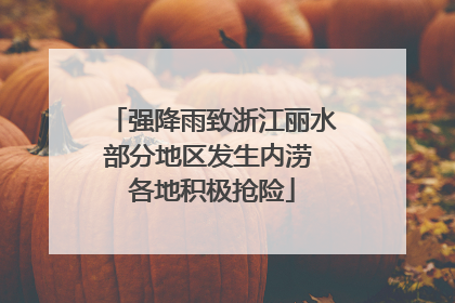 强降雨致浙江丽水部分地区发生内涝 各地积极抢险