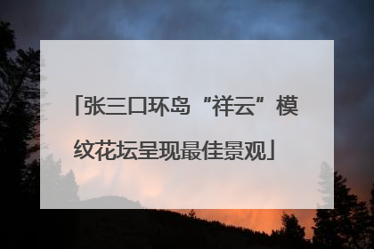 张三口环岛“祥云”模纹花坛呈现最佳景观