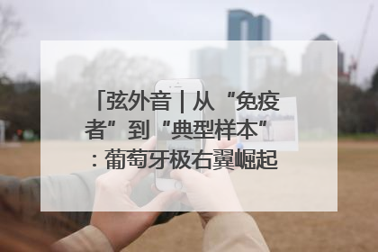 弦外音｜从“免疫者”到“典型样本”：葡萄牙极右翼崛起背后的欧洲困局