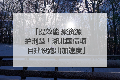 提效能 聚资源 护荆楚！湖北国债项目建设跑出加速度