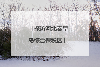 探访河北秦皇岛综合保税区