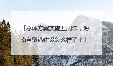 总体方案实施五周年，海南自贸港建设怎么样了？