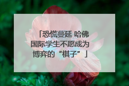 恐慌蔓延 哈佛国际学生不愿成为博弈的“棋子”
