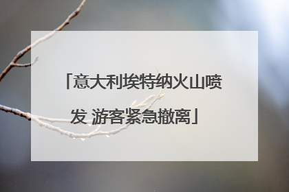 意大利埃特纳火山喷发 游客紧急撤离