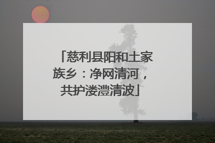 慈利县阳和土家族乡：净网清河，共护溇澧清波