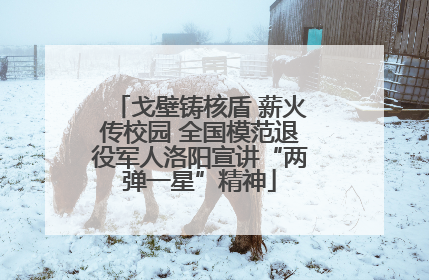 戈壁铸核盾 薪火传校园 全国模范退役军人洛阳宣讲“两弹一星”精神