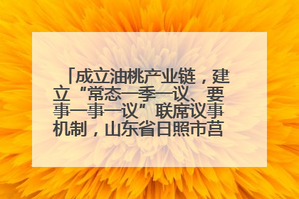 成立油桃产业链，建立“常态一季一议、要事一事一议”联席议事机制，山东省日照市莒县果庄镇——13个党小组“全周期”育果