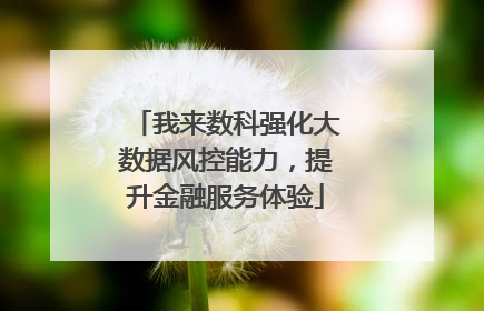 我来数科强化大数据风控能力，提升金融服务体验