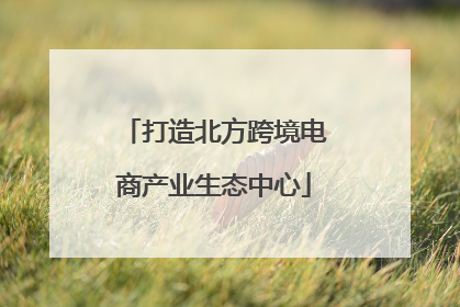 打造北方跨境电商产业生态中心
