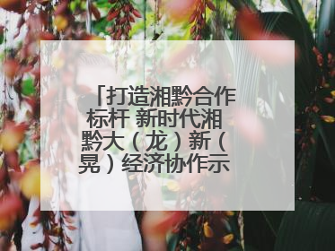 打造湘黔合作标杆 新时代湘黔大（龙）新（晃）经济协作示范园建设签约