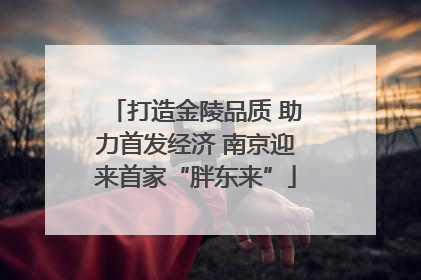 打造金陵品质 助力首发经济 南京迎来首家“胖东来”