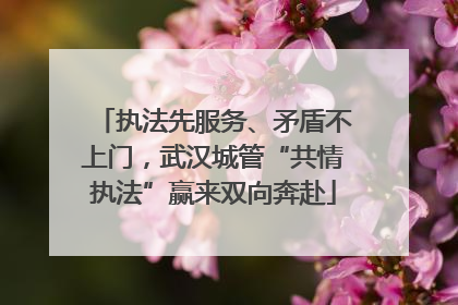 执法先服务、矛盾不上门，武汉城管“共情执法”赢来双向奔赴