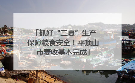 抓好“三夏”生产 保障粮食安全！平顶山市麦收基本完成