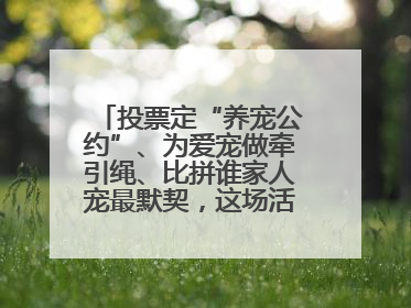 投票定“养宠公约”、为爱宠做牵引绳、比拼谁家人宠最默契，这场活动有趣更有意义