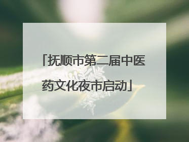 抚顺市第二届中医药文化夜市启动