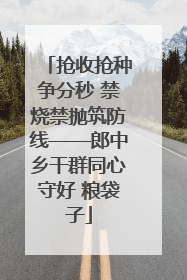 抢收抢种争分秒 禁烧禁抛筑防线——郎中乡干群同心守好 粮袋子