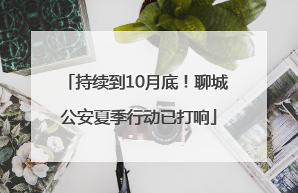 持续到10月底！聊城公安夏季行动已打响